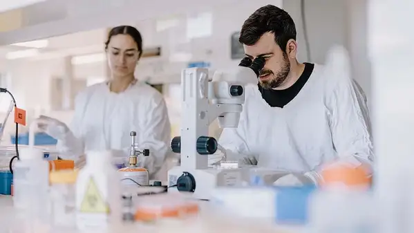 Our Research